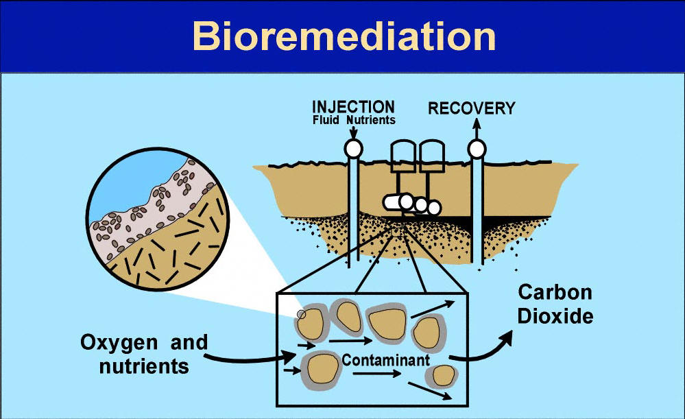 Bioremediasi pencemaran tanah