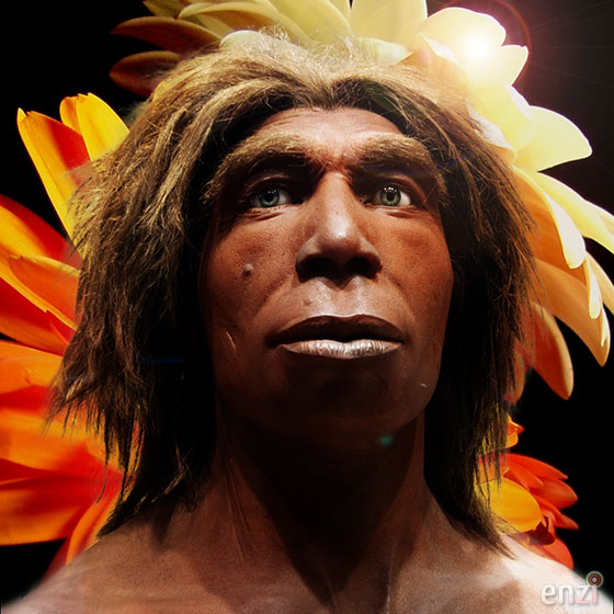 manusia purba pitecanthropus dubois