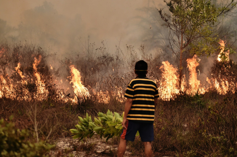 pembakaran hutan yang tak terkendali